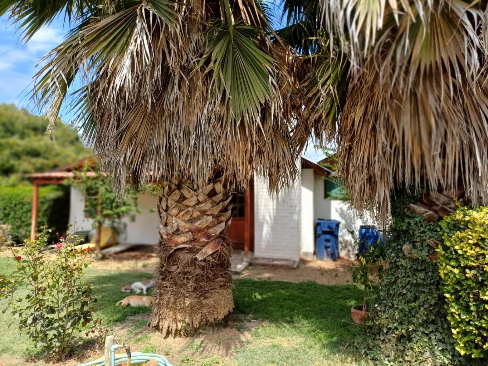 Parcela En Casa de férias Melipilla